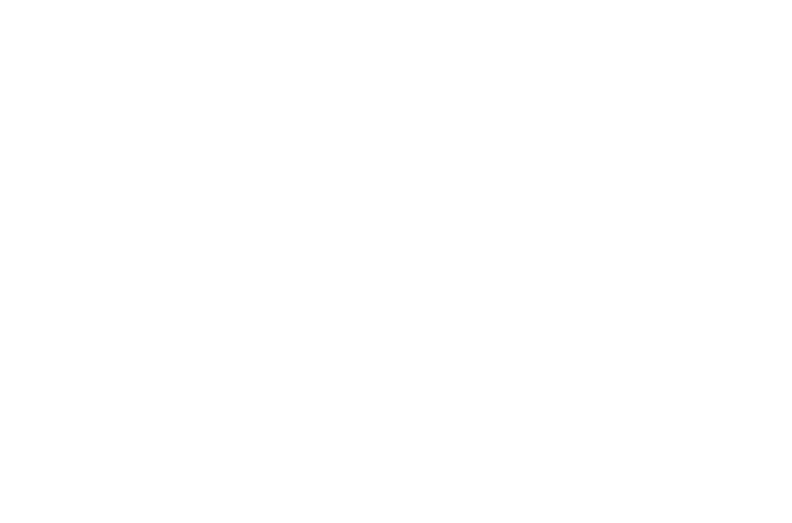 Digaroo Logo
